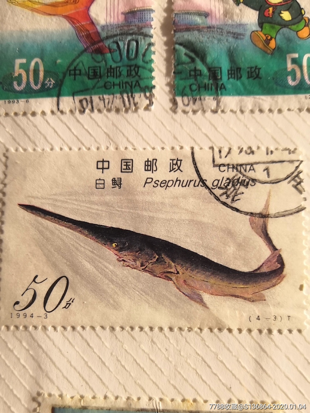 94年邮票长江白鲟已经被宣布灭绝的物种