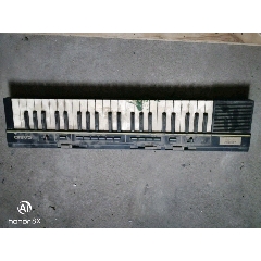 CASIO电子琴(se70561329)_7788收藏__收藏热线