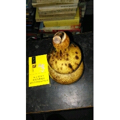 葫芦(se70571582)_7788收藏__收藏热线