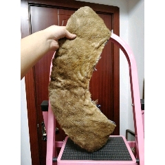 民国水獭绒领子(se70597513)_7788收藏__收藏热线