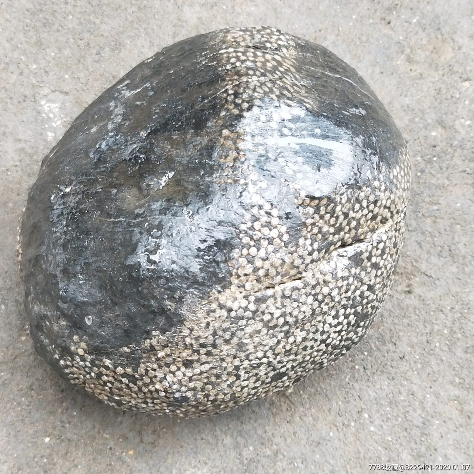 奇石化石雨花石恩施清江河床下原生观赏石摆件