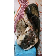 青海省黄河奇石(se70606768)_7788收藏__收藏热线