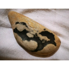 奇石喜鹊，喜在眉梢。(se70607141)_7788收藏__收藏热线