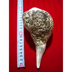 藏佛海螺法器(se70627964)_7788收藏__收藏热线