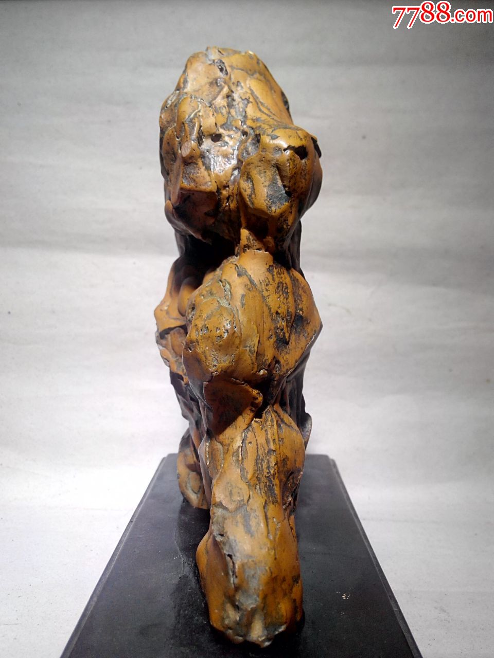 广西奇石古陶石姜石沙姜石礓砾蛎石裂姜石