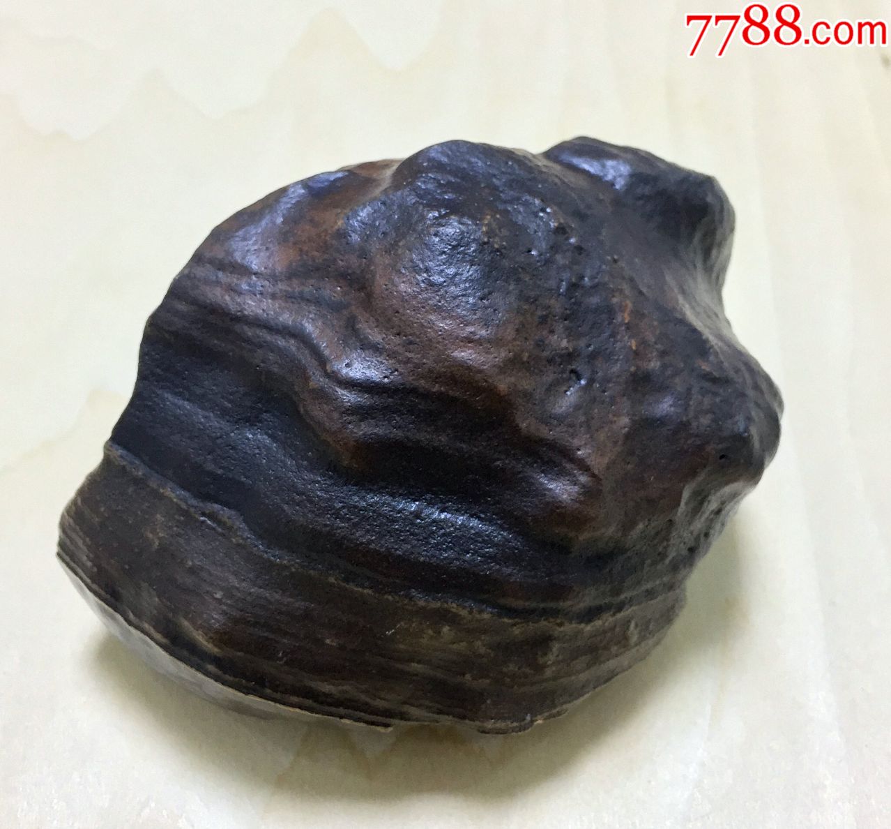 沙漠漆原石奇石戈壁石茶具石摆设神龟静伏沉思