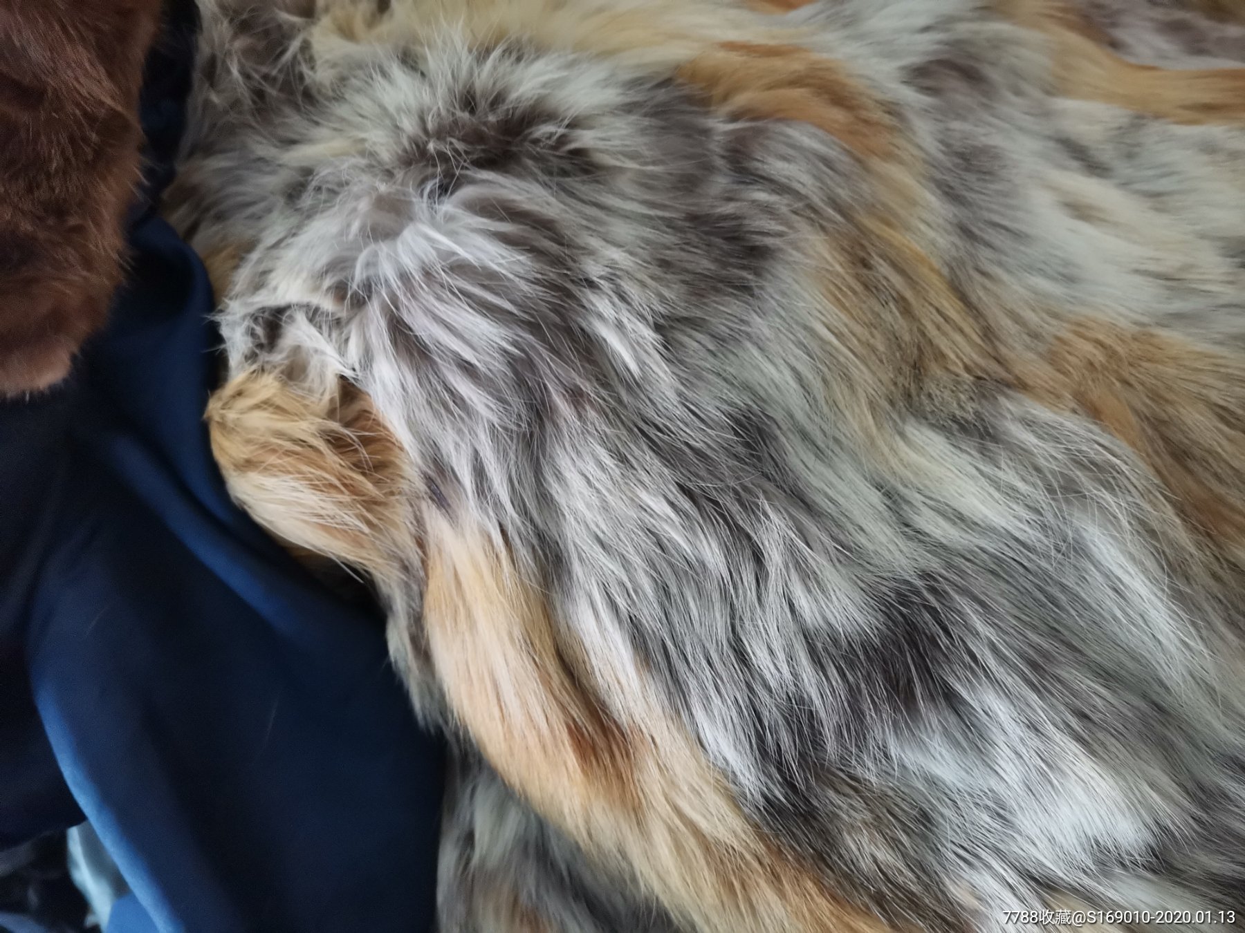 送长辈健康长寿不可替代佳品高档狐狸皮毛大衣