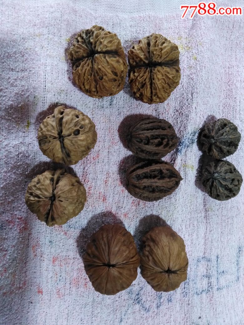 云南野生铁核桃5对,品种各不同,大小不同.