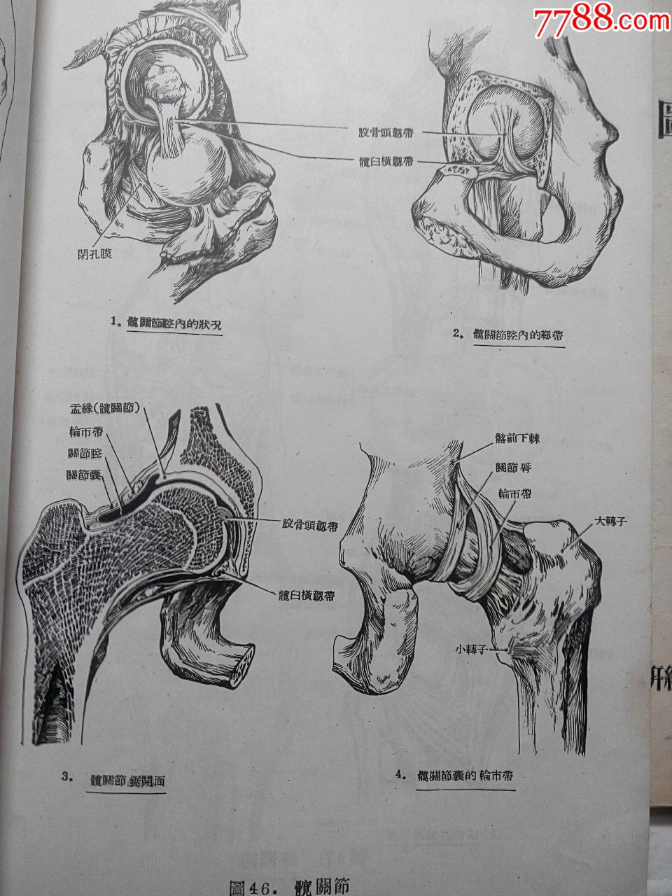 人体解剖学图谱(上下册)