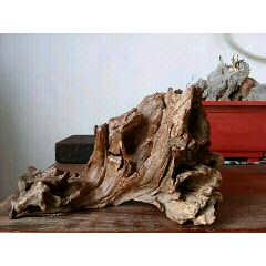 老根雕山子(se70790370)_7788收藏__收藏热线