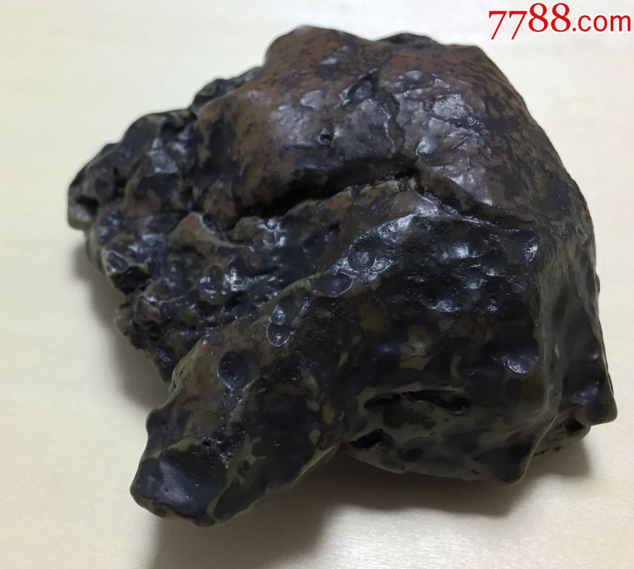 沙漠漆奇石摆件祥瑞寓意祥鳖吉祥长寿健康