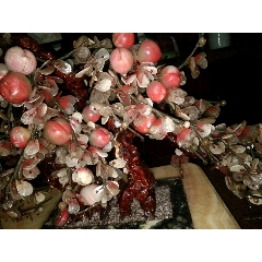 玉桃(se70818108)_7788收藏__收藏热线