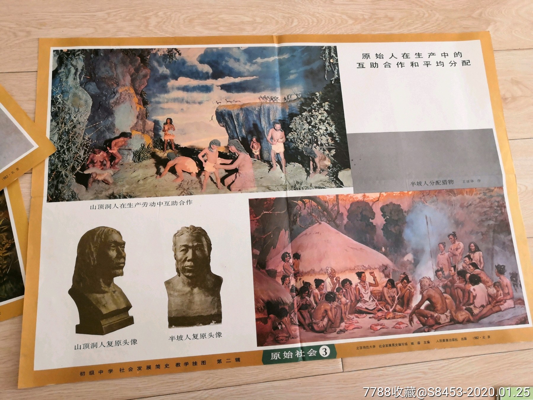 八十年代教学挂图原始社会5张一起出