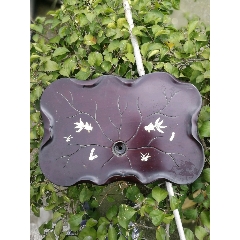 嵌天然贝壳金鱼水草图荷叶型实木茶盘一个(se70845050)_7788收藏__收藏热线