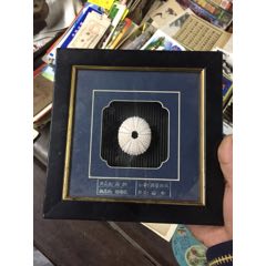 稀少海胆(se70860361)_7788收藏__收藏热线