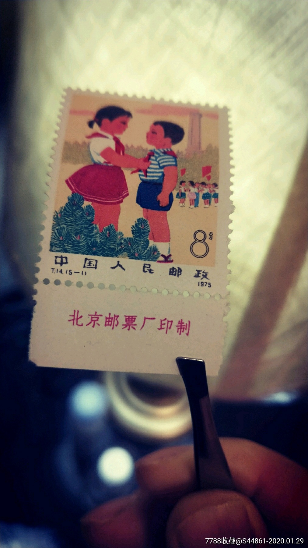 t14新中国儿童新票一套-新中国邮票-7788收藏__收藏热线