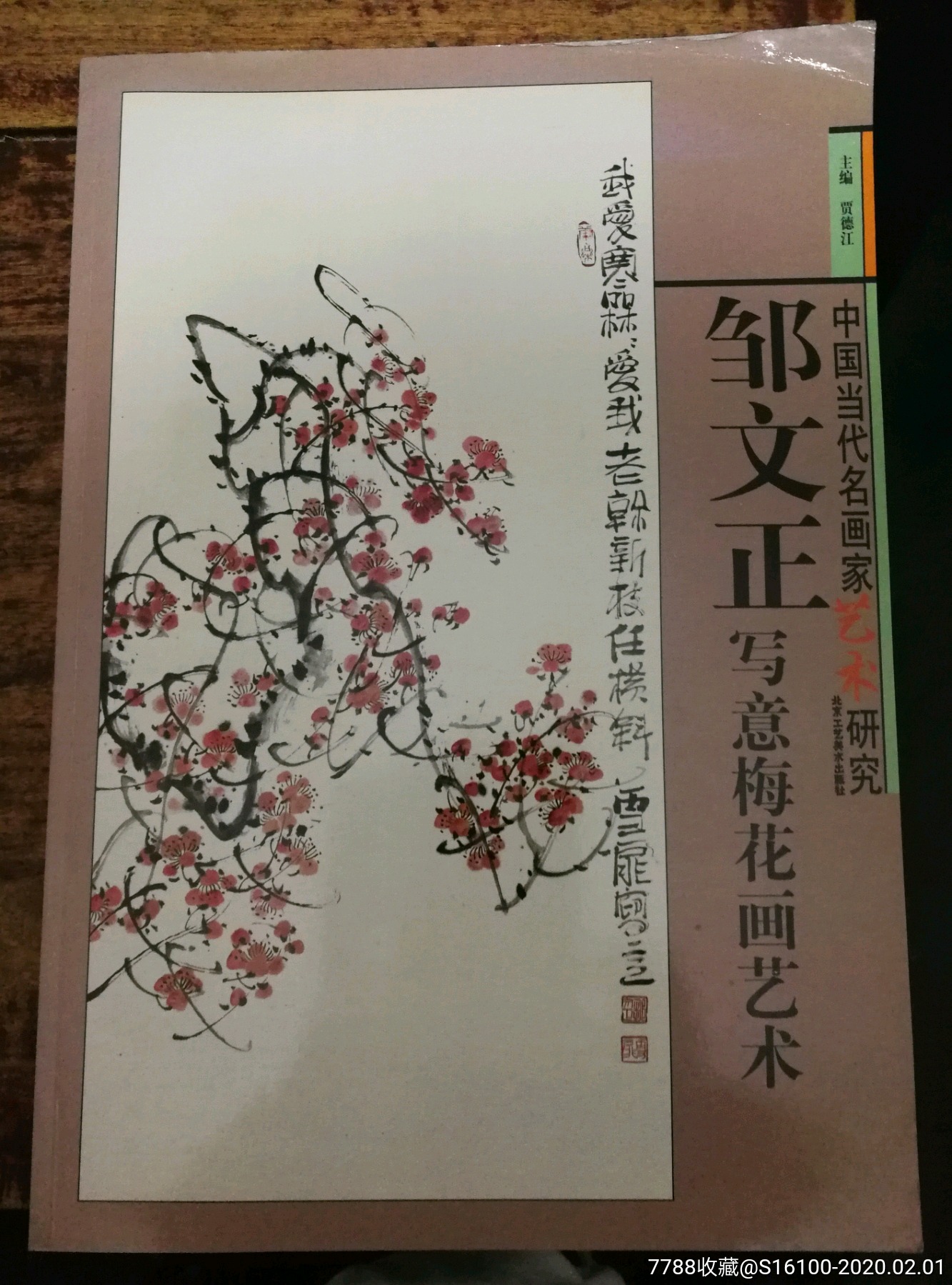 中国当代名画家艺术研究:邹文正写意梅花画艺术