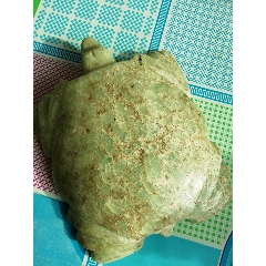 高古玉龟(se70905057)_7788收藏__收藏热线