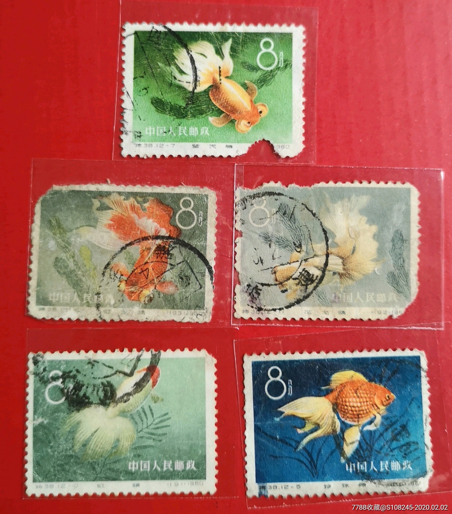 特38金鱼-新中国邮票-7788收藏__收藏热线