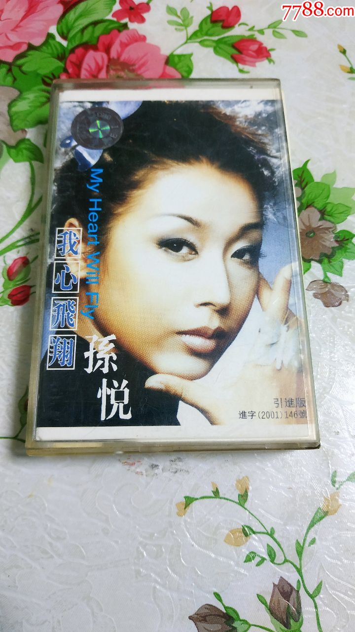 孙悦我心飞翔