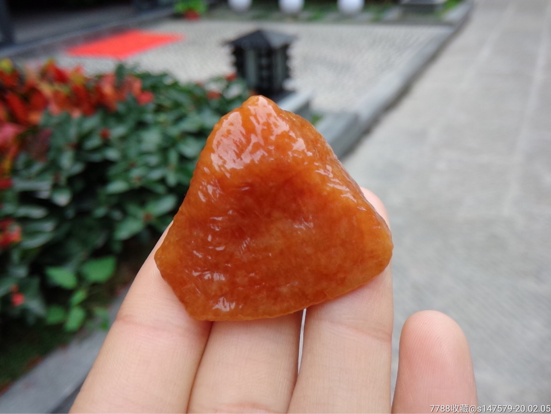 红翡随形原石天然翡翠a货