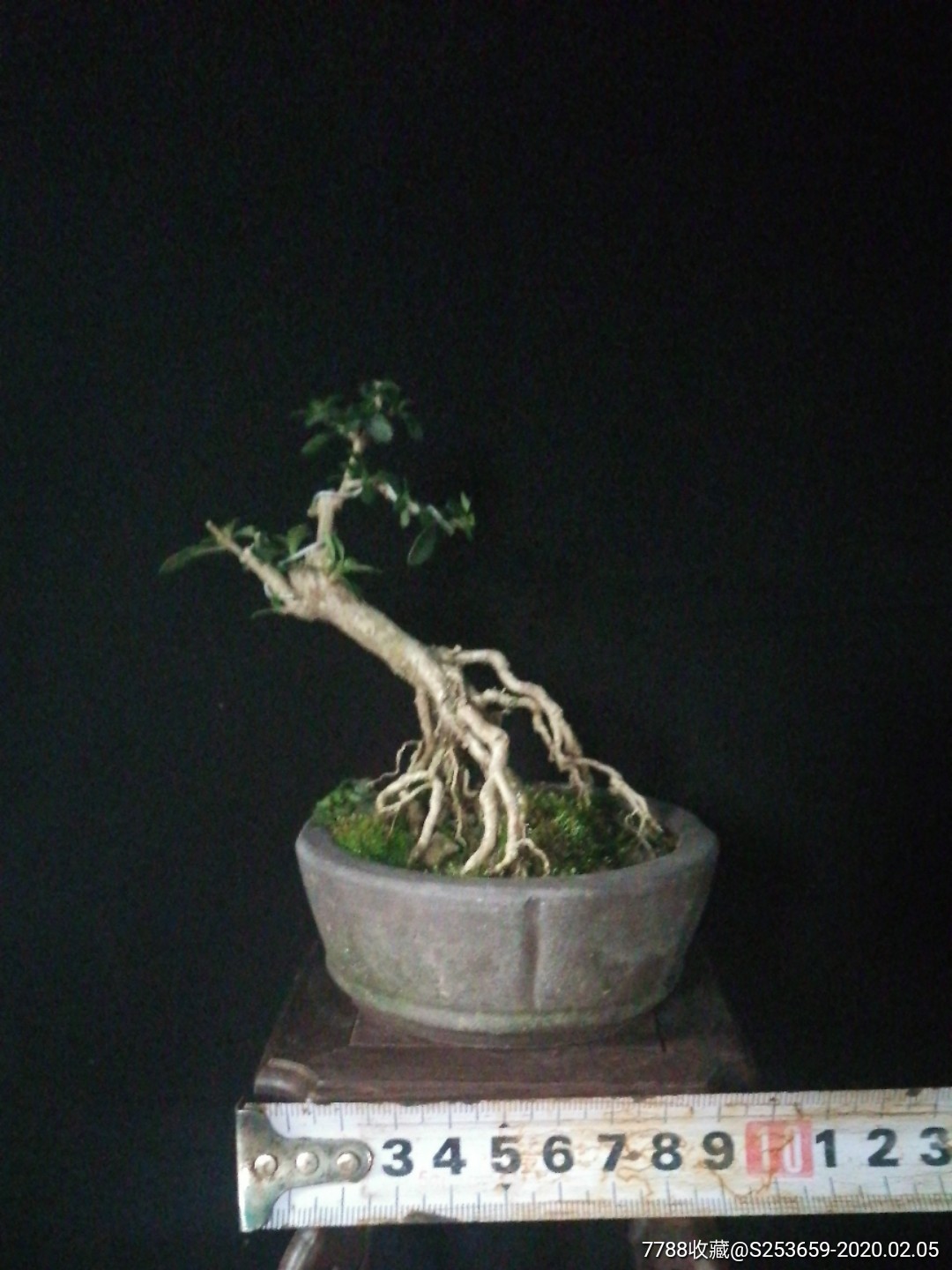  html lang="en" bdsfid="0"> head bdsfid="1"> link href