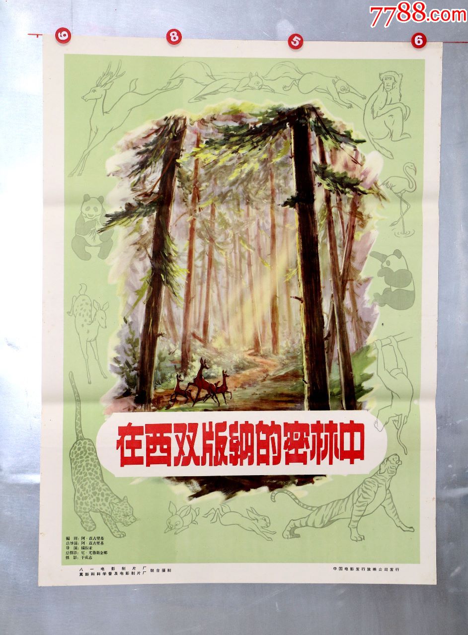 在西双版纳的密林中-价格:3800元-se70955618-电影海报-零售-7788收藏