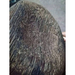 木鱼(se70974531)_7788收藏__收藏热线