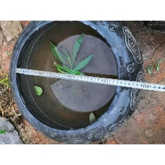 青石鱼缸(se70984507)_7788收藏__收藏热线