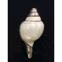 尼泊尔法螺天然法螺银包法螺(se70992390)_7788收藏__收藏热线