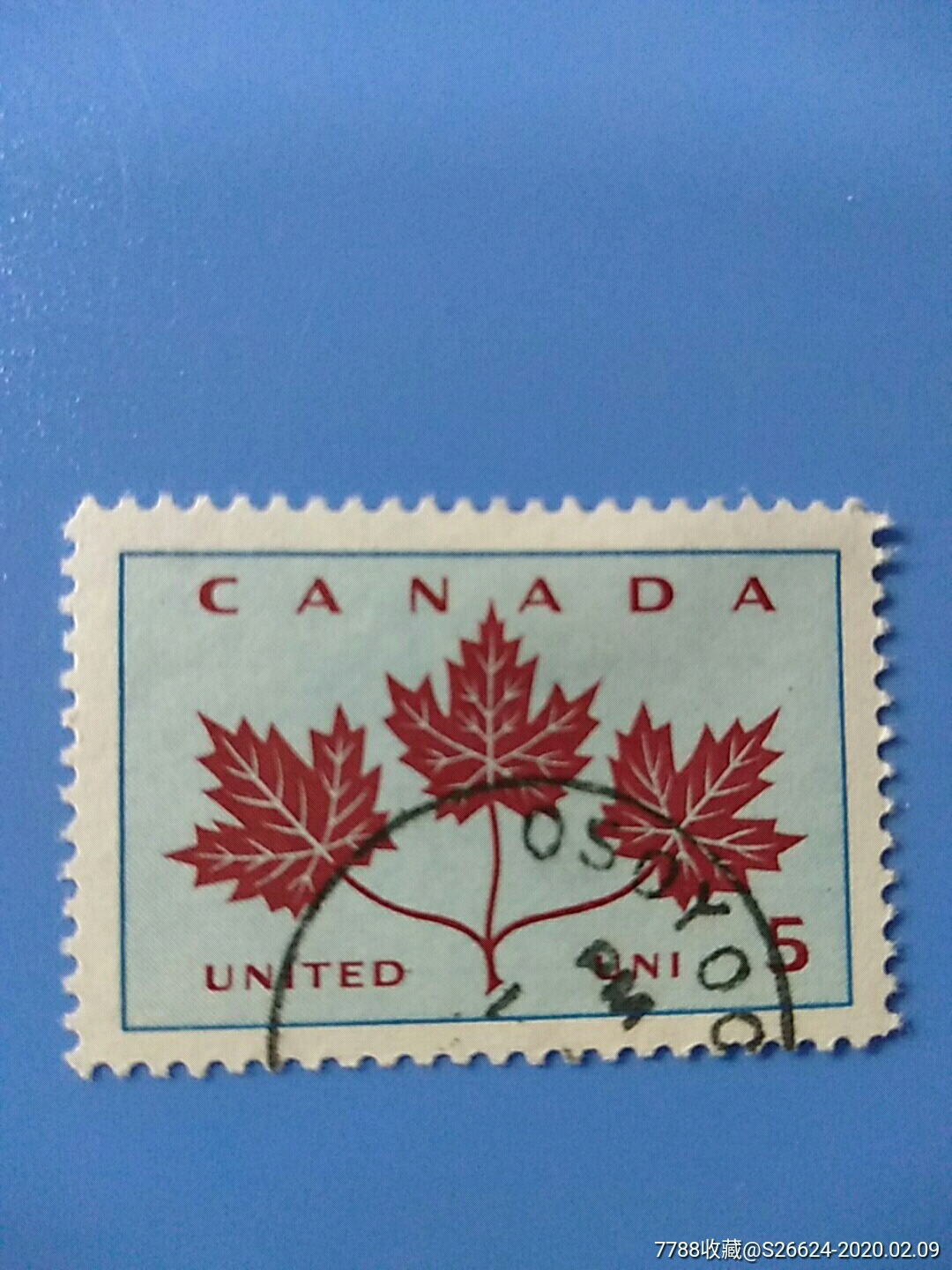1964年加拿大的团结三片枫叶雕刻版邮票1全销