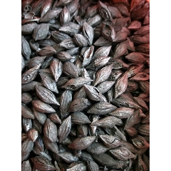 老库存黑橄榄炭火炭泡茶煮水活性炭(se71011305)_7788收藏__收藏热线