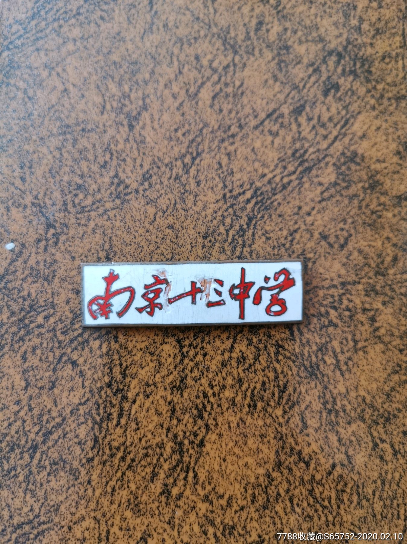 南京十三中学校徽一个