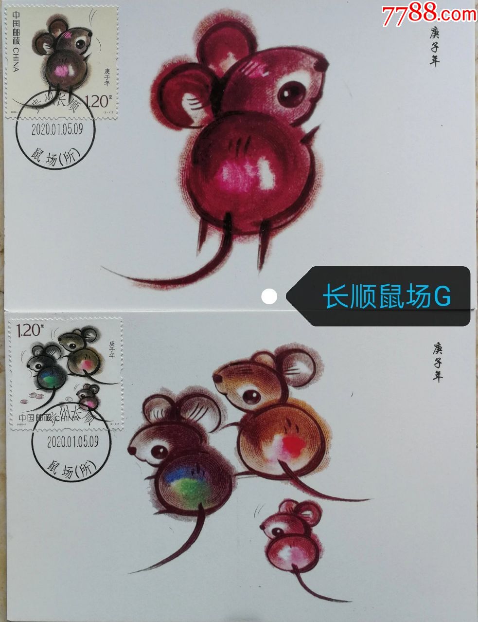 20201庚子鼠贵州长顺鼠场极限片g