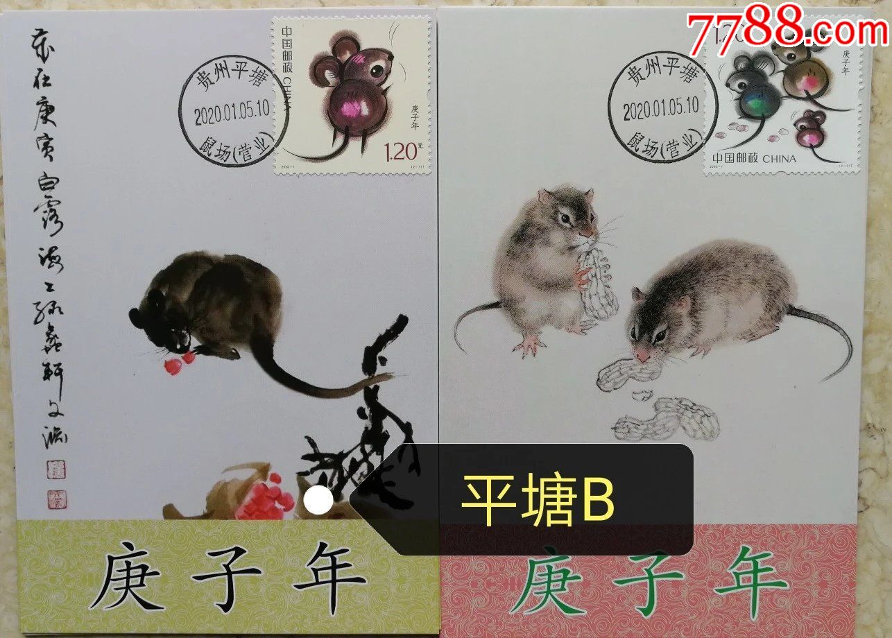 20201庚子鼠贵州平塘鼠场极限片b