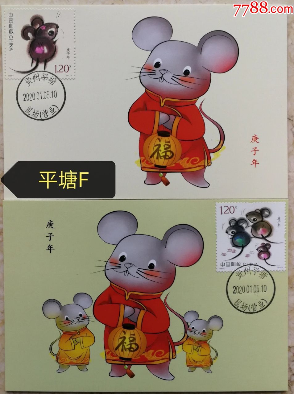 20201庚子鼠贵州平塘鼠场极限片f