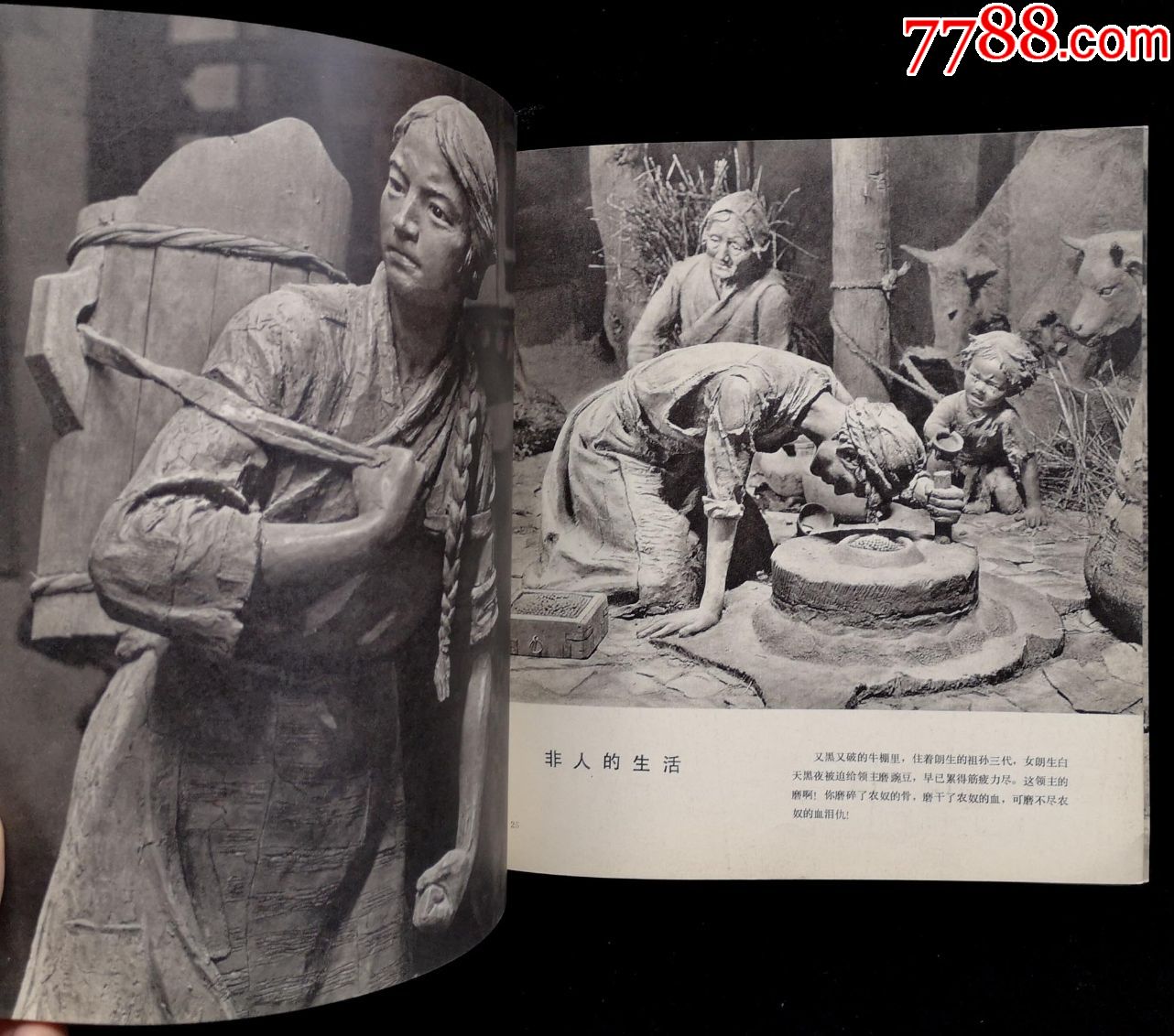 1975年農奴憤畫冊