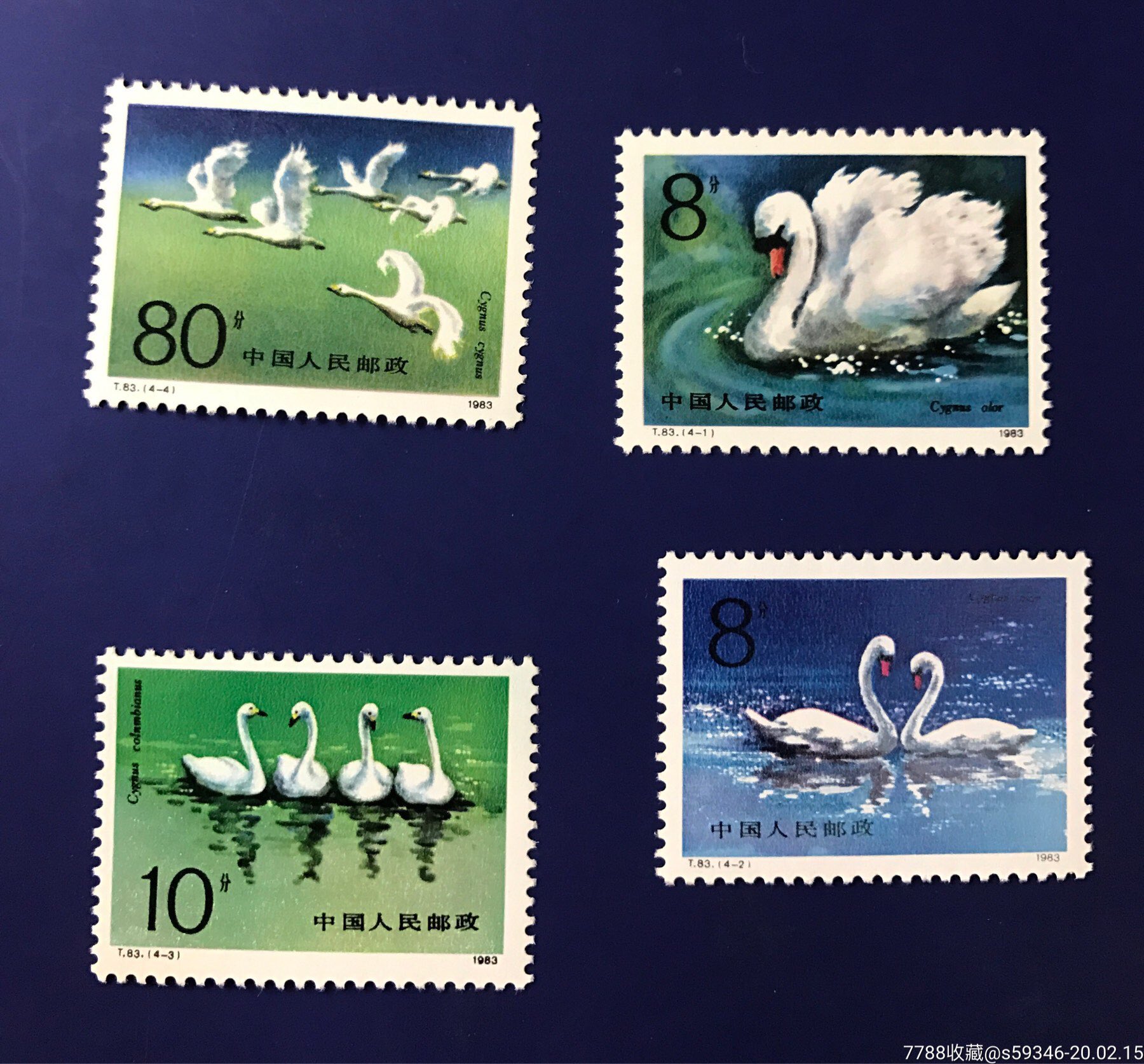 天鹅-新中国邮票-7788收藏__收藏热线
