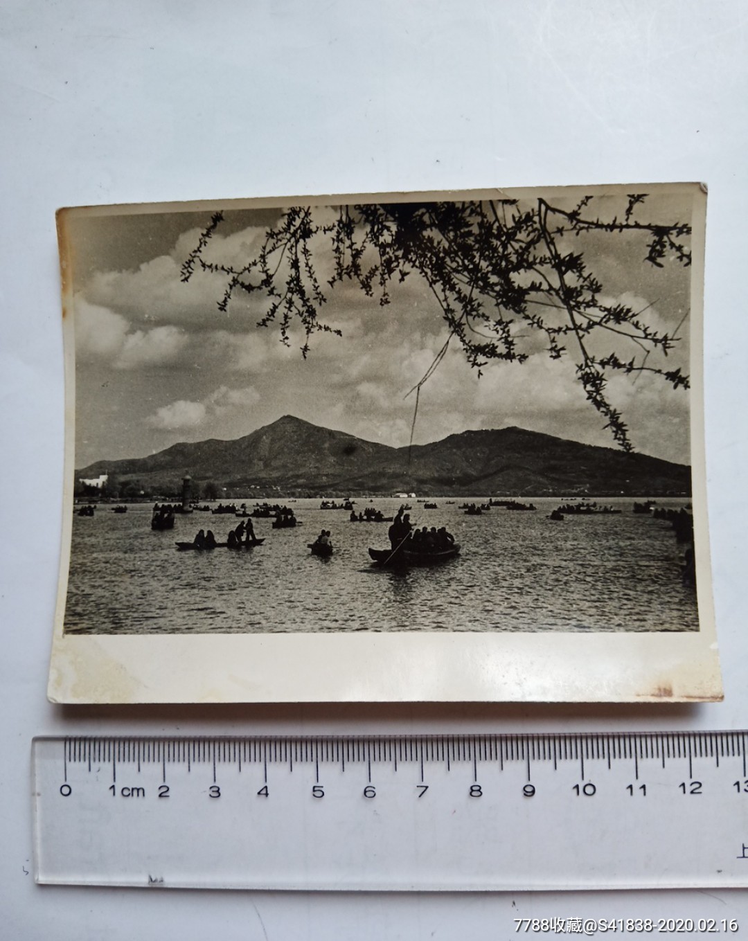 五十年代南京玄武湖老照片