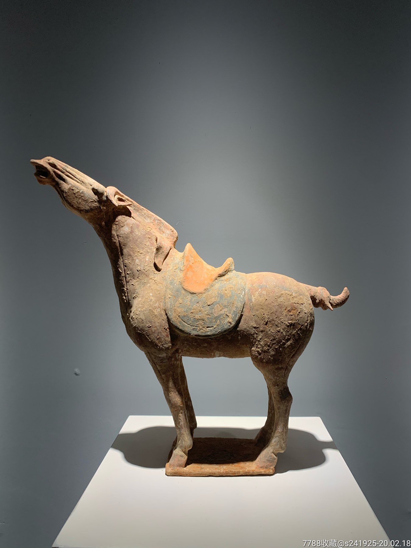 唐代彩绘陶马仰头陶马哮天马嘶鸣马陶马画彩