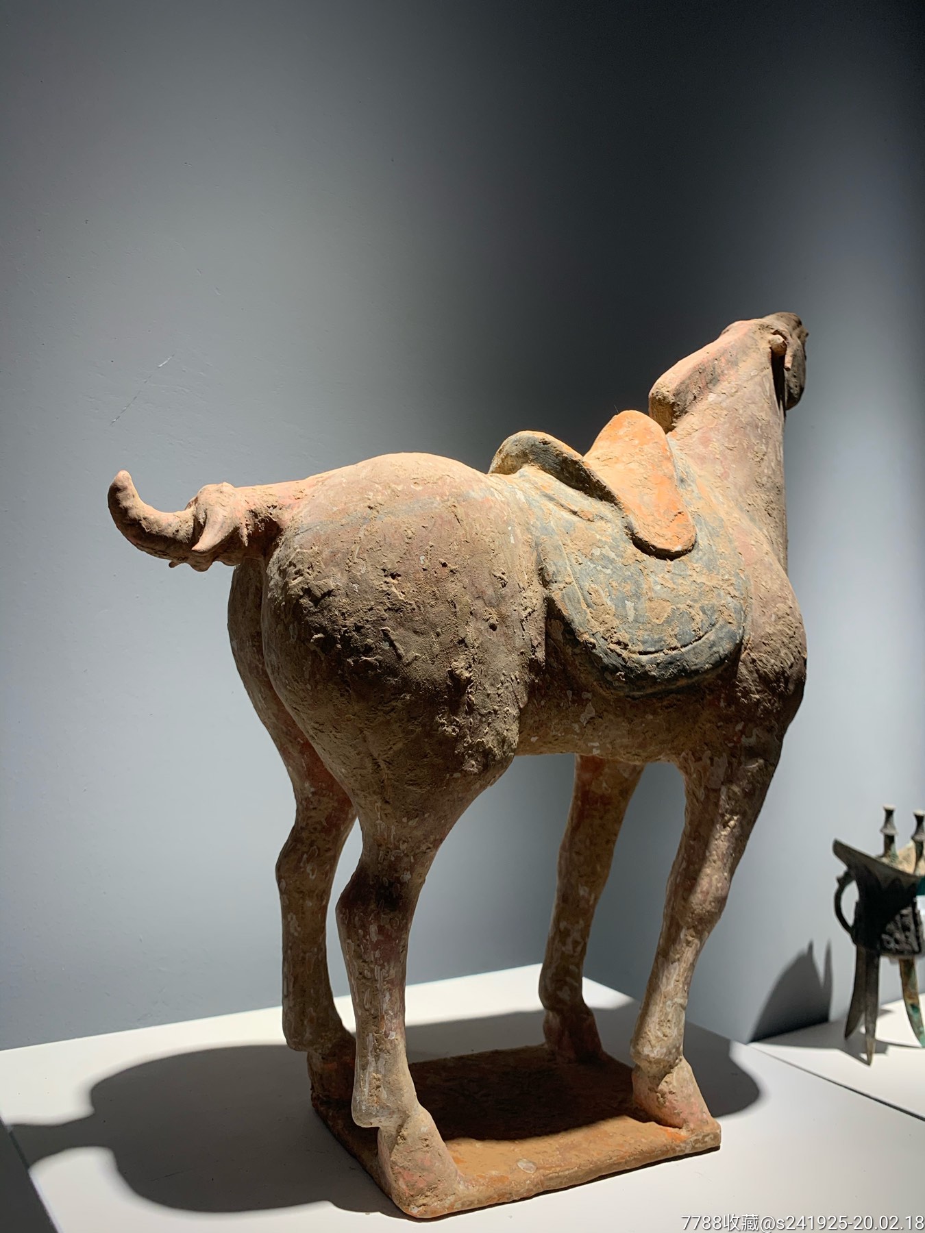 唐代彩绘陶马仰头陶马哮天马嘶鸣马陶马画彩