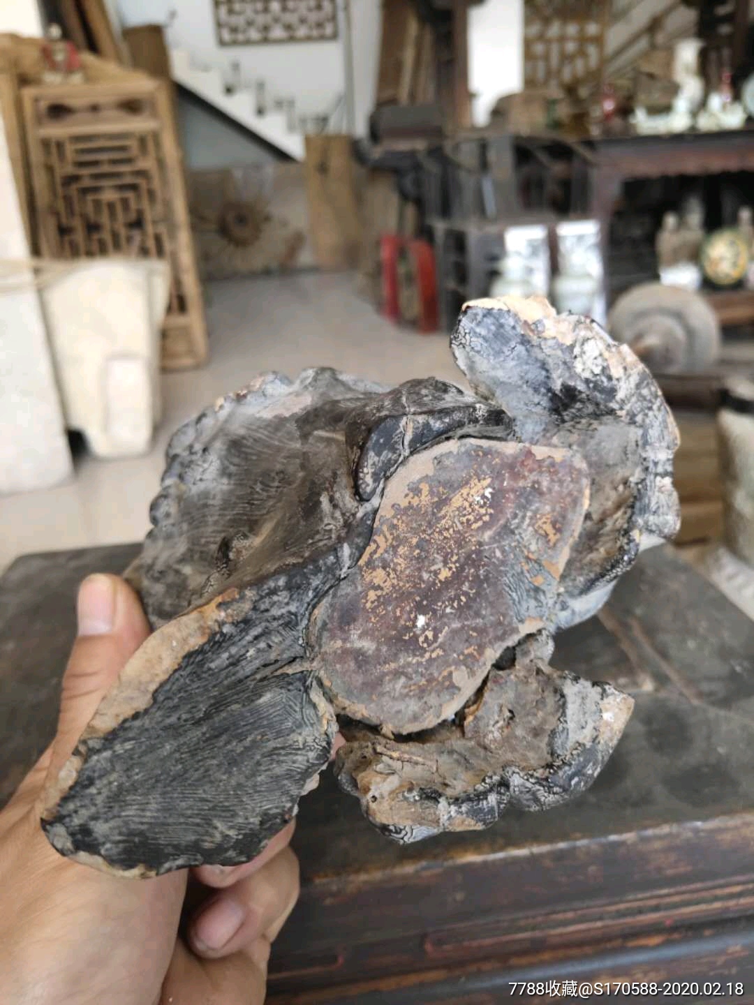 下乡收到明代老树瘤笔筒一支,形态奇特,如意随心所制