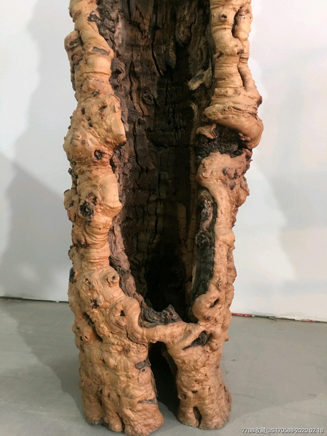 雷击枣木超级风化茶室会所摆放高162厘米直径33厘米