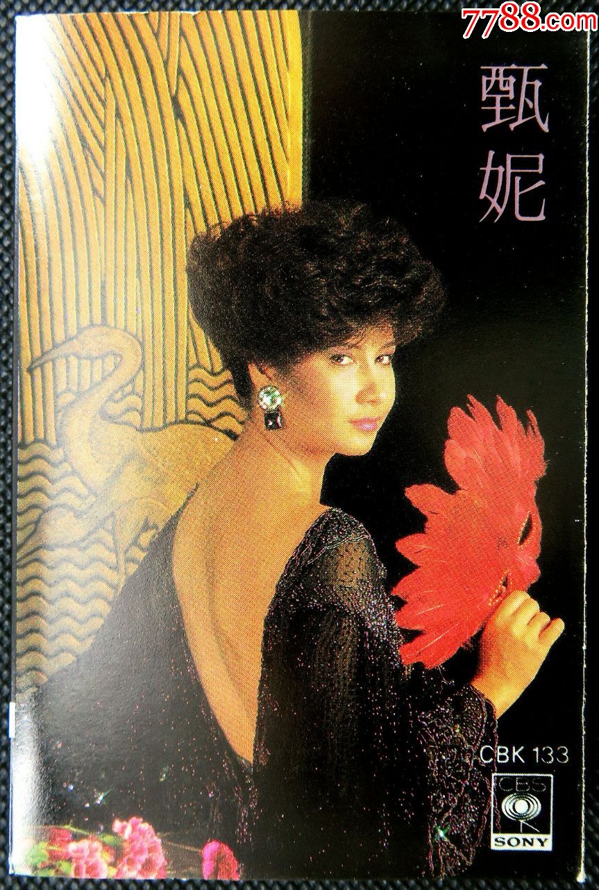 磁带甄妮再度孤独原版磁带卡带