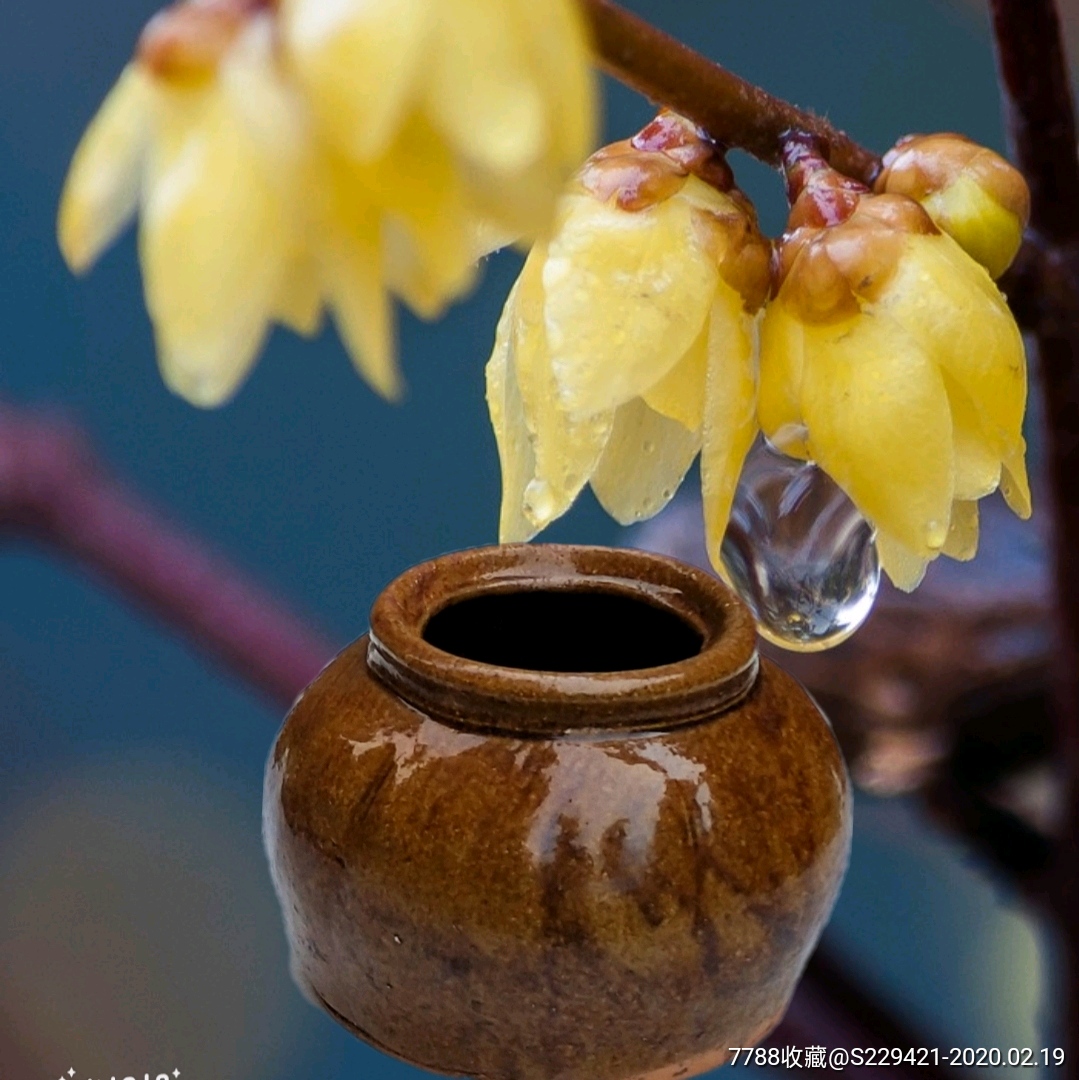 白泥陶黄釉瓜凌罐儿民国老窑陶器食品小坛子