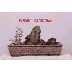 五花石，盆景，(se71177887)_7788收藏__收藏热线