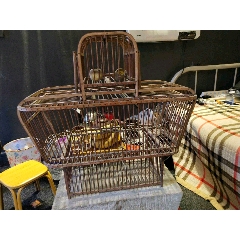 老鸟笼(se71178783)_7788收藏__收藏热线