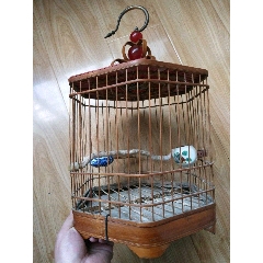 鸟笼(se71178919)_7788收藏__收藏热线