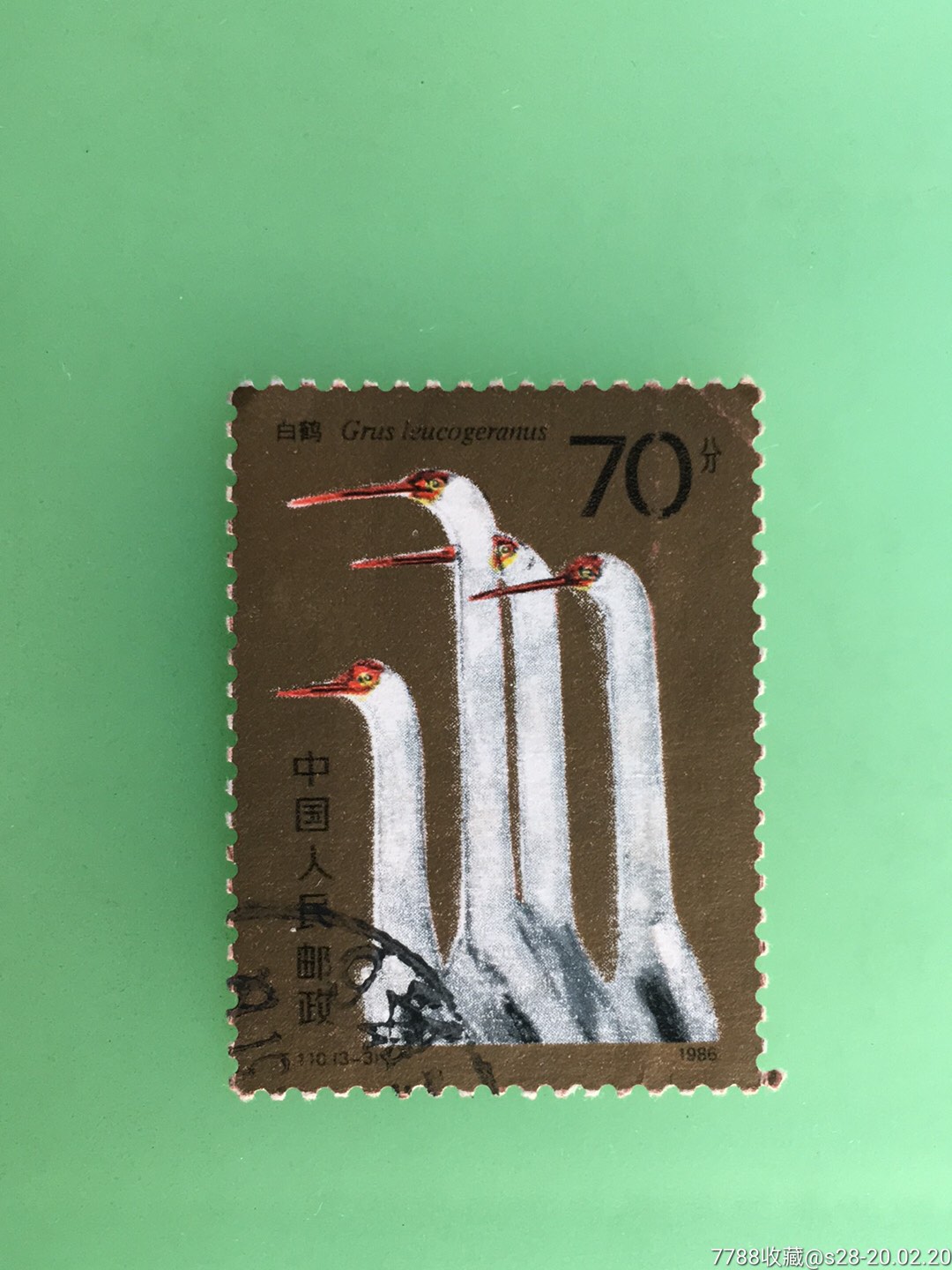 白鹤-新中国邮票-7788收藏__收藏热线