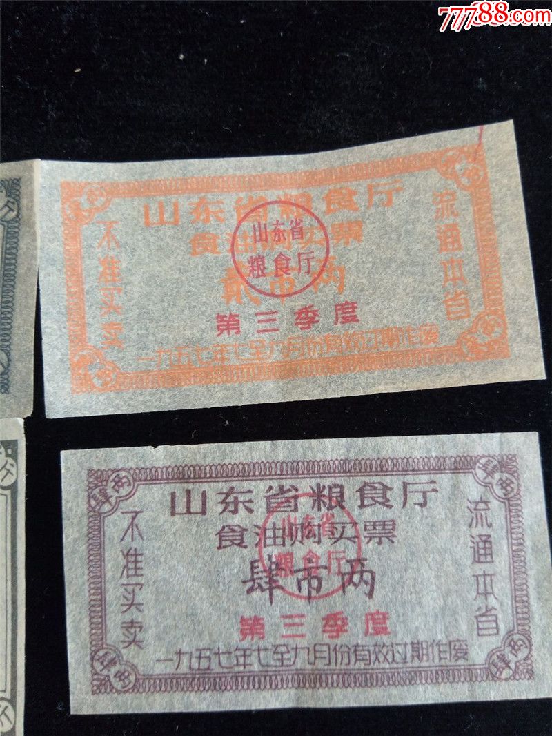 55-57-70-0000-se71194094-7788